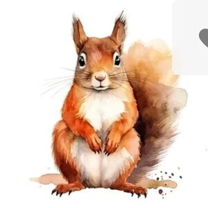 Meet your Posher, Jayne